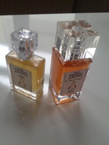 14938118_10210564905742345_6437159778474556662_n