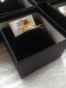 15203136_10210690467361307_1026937052660591964_n