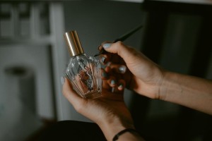 22308577_10213733838083673_6372336156617374207_n