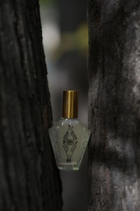 23472907_10213991092594875_9200150246530239956_n