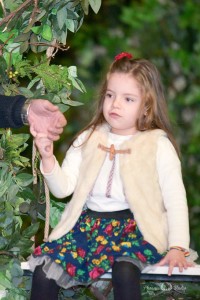 24301042_1567293926650300_1491735203579657874_n