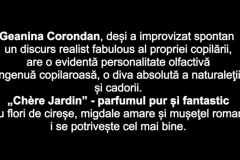 Geanina-Coronadan1-1024x469